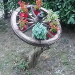 Il Cedro 3* フォリーニョ