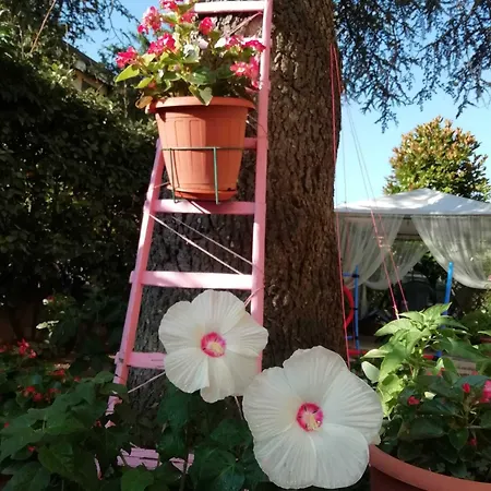 Il Cedro Szálloda